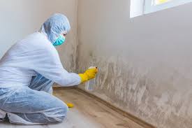 Mold Removal for HVAC Installations in North Highlands, CA