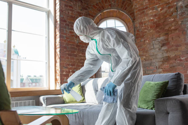 Professional Mold Inspection in North Highlands, CA